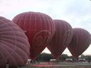 Balloons over Bagan